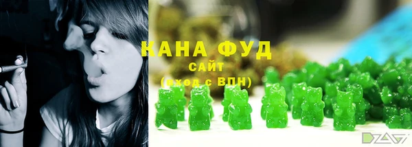 тгк Ельня