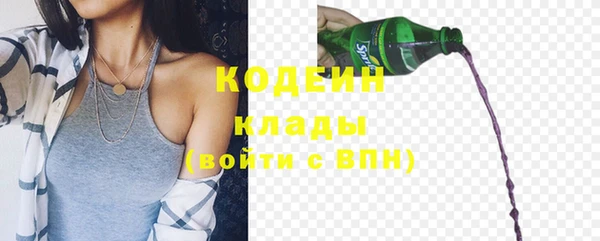 СК Елизово
