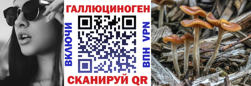 Псилоцибиновые грибы Magic Shrooms  Купить  Алексеевка 