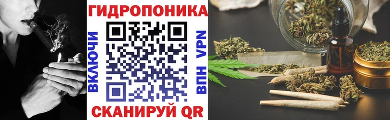 Купить закладки  Алексеевка  Канабис планчик 